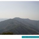 작은앵골 이미지