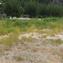 판석농장 이미지