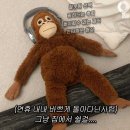 잎사귀치과병원 | [후기] 잎사귀치과병원 매복사랑니 뽑기