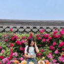 호남기사식당 이미지