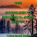 젊은 가장 Daum카페