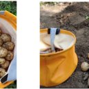 국선농장 이미지