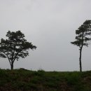 비래초등학교 이미지