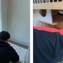 동물보육원 고양지부 이미지