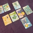 지니 나비 | 구래동 타로| 김포 타로 잘보는곳, [지니아카데미 프리베타로] 에서 소름 돋은 후기