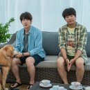 멍뭉이네 이미지