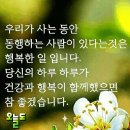 세라비님 이미지