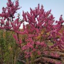 달빛마을 이미지