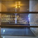 태백산약초식당 이미지