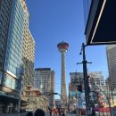 더러닝랩어학원 | [캐나다 워홀 epi 2] +1~+5 TD bank/도서관 카드/마트구경/시차적응ing