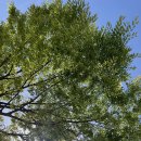 심포항 | [노지캠핑 차박캠핑] 김제 심포항에서 여유 가득한 주말 나들이