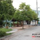 세포마을회관 이미지