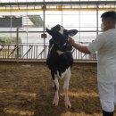 경진목장 이미지