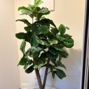 스테이874 이미지