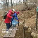 수시코스 Daum카페