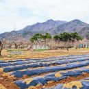 어룡공인중개사사무소 이미지