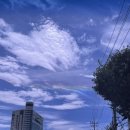 새로미세탁 | 내집마련, 집꾸미기 (5) 커텐 - 광주양동시장 커텐 후기