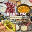 사직동 소고기 참숯갈비 화직 점심부터 소갈비살 뿌수고옴