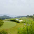 [자유로CC 골프장 후기] 조인 라운딩 · 레드티 플레이 · 골프장 가격 정보 총정리 (그린피/카트비...