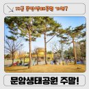 문암생태공원(매점) | 청주 문암생태공원 4월 봄나들이 실제 후기｜무심천 산책로부터 피크닉까지 완벽 코스