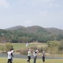 동부회원권거래소