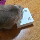 매직박스 이미지