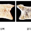 신강한의원 이미지