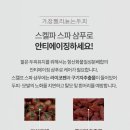 스캘프 이미지