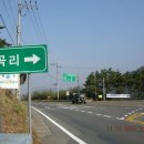금산 주차장(공동묘지 주차장) 티스토리