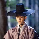 뿌리깊은나무 이미지