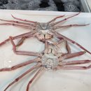 주희네수산 이미지