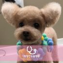 박창언 동물병원 이미지