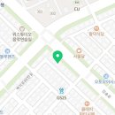 요미독 강아지분양 요미캣 고양이분양 목동점 이미지