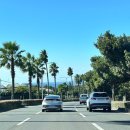 천지동 재활용 도움센터 | 제주도 여행 3박 4일 - [4일차] 천지연 폭포, 주상절리