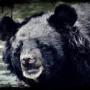 서강원농장 이미지