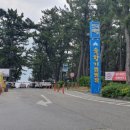 연곡해변 솔향기캠핑장 이미지