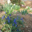 나무뜨락 이미지