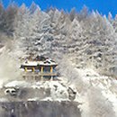 (주) 트래블라인