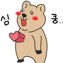 덕수파스타세종정부청사점 이미지