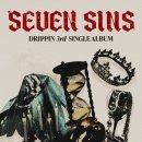 드리핀 카카오 검색결과