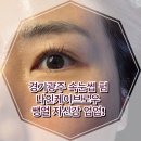 케이브로우 뷰티 | 경기광주 속눈썹 나인케이브로우 속눈썹펌 후기 여행 전 미모 준비!