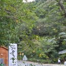 개울목139 이미지