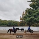 클레오브릿지