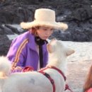 낯가림 민박 이미지