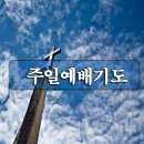 6월 호국보훈의 달 주일 낮예배 대표기도예문 모음 이미지