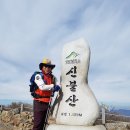 상봉길 이미지
