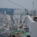 테마웰빙