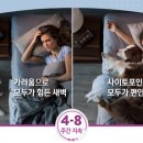 웰니스동물병원 이미지