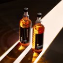 신세계엔진보링 | 불스원샷 시그니처 500ml 휘발유용 1+1 역대급 구성 지금이 기회