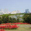 송도 해돋이공원 이미지